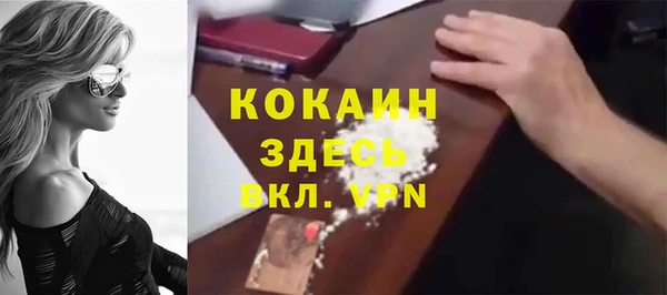 прущая мука Ельня