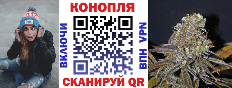 блэк спрут маркетплейс  Мамадыш  Канабис гибрид  где найти наркотики 
